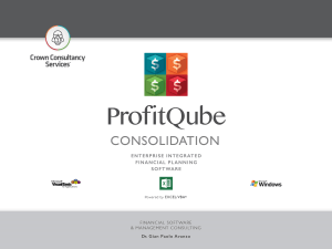 ProfitQube™ Consolidation for Production, Trade and Services (Excel/VBA, release 1.0.3)