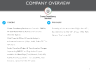 ProfitQube and Company Presentation - Page 3