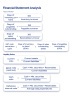 Financial Statement Analysis