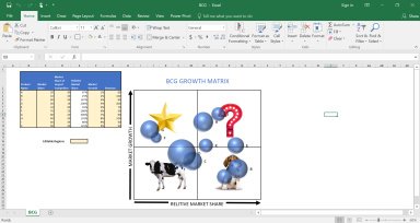 BCG Growth Matrix and Auto Graphing Excel Model