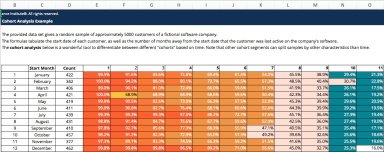 Cohort Analysis Excel Template