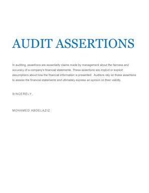 AUSIT ASSERTIONS