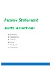AUSIT ASSERTIONS