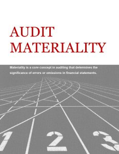AUDIT MATERIALITY