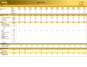13-weeks Cashflow Planning Model