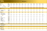 Cashflow Budget