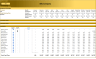 Cashflow Budget