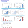 Diagnostic and Analysis Center Financial Model
