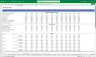 Medical Resort Financial Model 5 Year 3 Statement