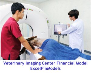 Veterinary Imaging Center Monthly 5-Year 3-Statement Financial Forecast Model