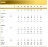 Leveraged Buyout (LBO) Financial Model