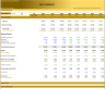Three Statement Financial Model