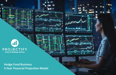 Hedge Fund Financial Projection Model - Eloquens