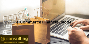E-Commerce Startup Company (5-year) Financial Forecast Model
