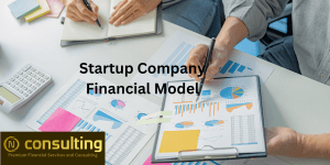 Startup Company (5-year) financial forecast model