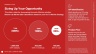 SaaS Launchpad by Voronina & Partners: The Complete Fundraising Operating System