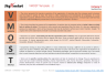 VMOST Analysis Strategy Framework Template