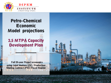 2.5 MTPA Petrochemical Economic Model