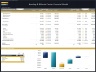 Bowling & Billiards Center – Dynamic 10 Year Financial Model