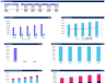 Electrician Business Financial Model Template - one page model