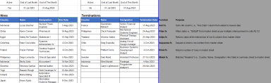 Human Resource Example: Hires & Terminations in a Month