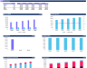 Pest Control Business Financial Model Template - one page model