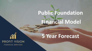 Public (Charity) Foundation Financial Model - 5 Year Forecast