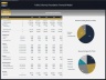 Public (Charity) Foundation Financial Model - 5 Year Forecast
