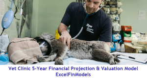 Veterinary Practice  5-Year Monthly Financial Projection & Valuation Model