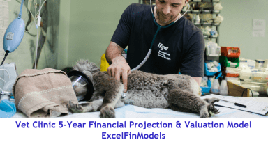 Veterinary Practice 5-Year Monthly Financial Projection & Valuation Model