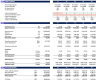 Biogas to Power Financial Model Template - one page model