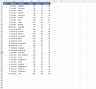 Key Organisational Metrics Report