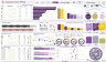 Premium Dashboard Models (the very best)
