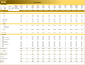 Pharmacy Store - 5 year Financial Model