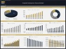 General Hospital Financial Model (Development, Operation & Valuation)