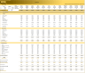 Hair & Beauty Salon (5-year) Financial Model - Basic Version