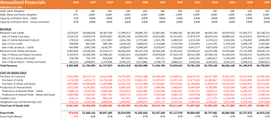 Commercial Ranching Financial Model