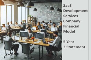 SAAS Development Service Financial Model