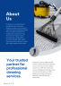 Online Cleaning App Business Plan Template