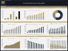 Drone Manufacturing – 10 Year Financial Model