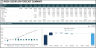 13-Week Cash Flow Forecast Template