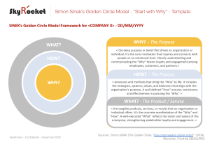 Sinek's 