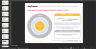 Sinek's 