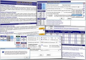 Real Options Valuation and Analysis Excel Model