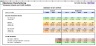 Financial Modeling Institute (AFM) Exam Solution