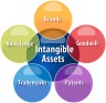 Intangible Property Valuation Excel Model