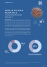 Life and Health Insurance Business Plan Template
