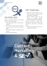 Life and Health Insurance Business Plan Template