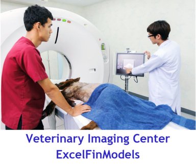 Veterinary Imaging Center Monthly 5-Year 3-Statement Financial Forecast Model (Lite version)