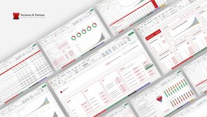 B2C & B2B SaaS Financial Model for Pre-Sees and Seed Founders